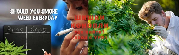 гашик Волосово