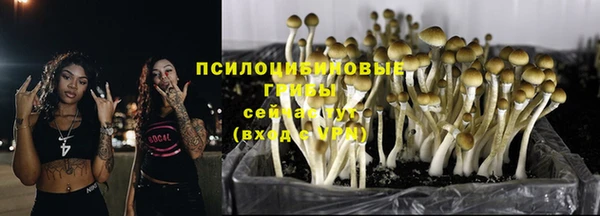 гашиш Володарск