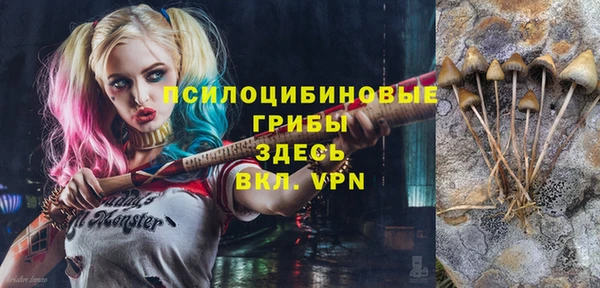 гашик Волосово