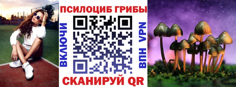 Псилоцибиновые грибы GOLDEN TEACHER  Магнитогорск 